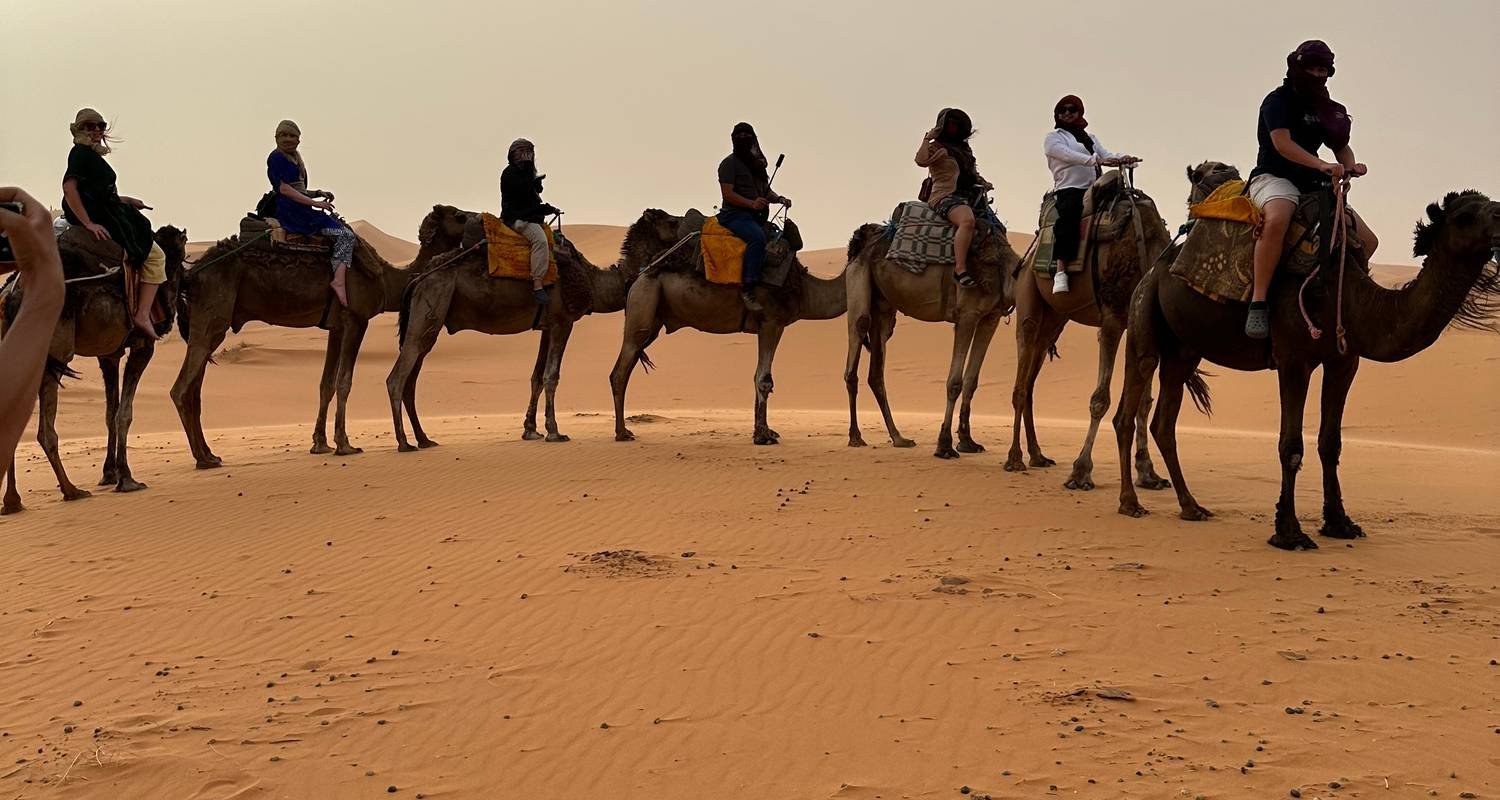 Camel ride in Sahara dunes