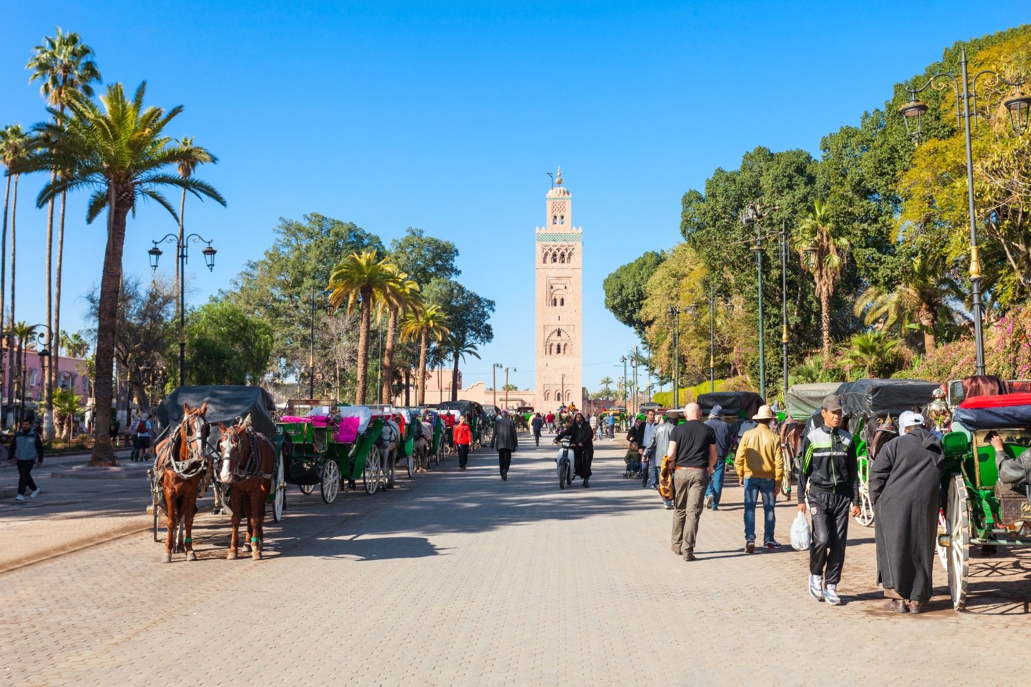 Tour From Marrakech