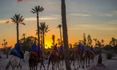 Morocco Travel and Activities