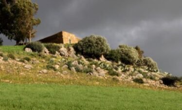 imperial city