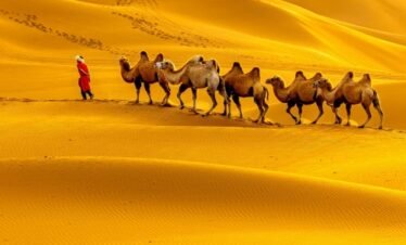 14 Days from Casablanca via Desert Sahara
