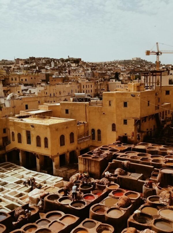 aerial photography of buildings