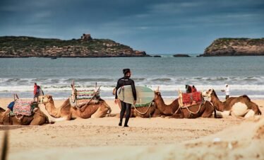 man in blue shirt riding brown camel on beach during daytime