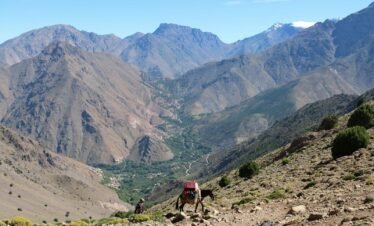 15 Days Ultimate Morocco Grand Tour from Marrakech