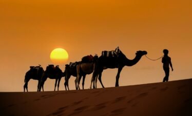 a person leading a group of camels on a sandy beach